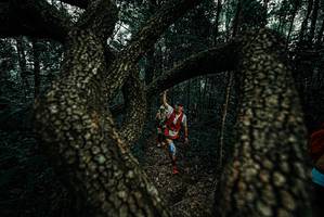 BIB: 
                            <button type="button" onclick="openModal(25690787)" class="btn btn-primary btn-sm float-right btn-popup" data-toggle="modal" data-target=".modal-high-quality">
                        <i class="fas fa-shopping-cart"></i> Add to Cart
                    </button>
                                            <button type="button" onclick="isThisMe(25690787, true)" class="btn btn-success btn-sm float-right btn-popup btn-isme hidden" data-toggle="tooltip" data-placement="bottom" title="นี่คือรูปของคุณใช่ไหม คลิกที่นี่เพื่อเอาเข้าอัลบั้ม">
                        <i class="fas fa-plus"></i> Add to album
                    </button>
                    <button type="button" onclick="isThisMe(25690787, false)" class="btn btn-warning btn-sm float-right btn-popup btn-isnotme hidden">
                        <i class="fas fa-ban"></i> Remove from album
                    </button>